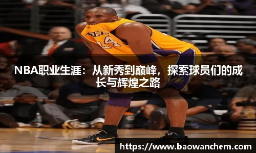 NBA职业生涯：从新秀到巅峰，探索球员们的成长与辉煌之路