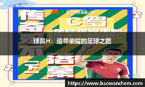 球员H：追寻荣耀的足球之路